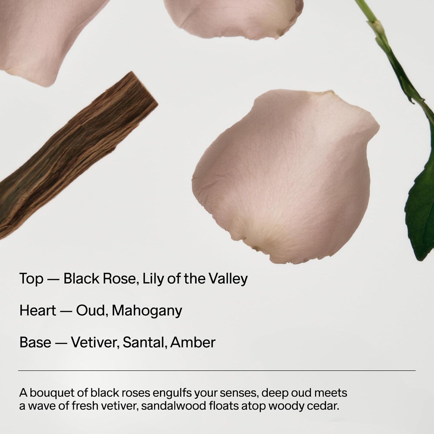 Salt & Stone Natural Deodorant 75g