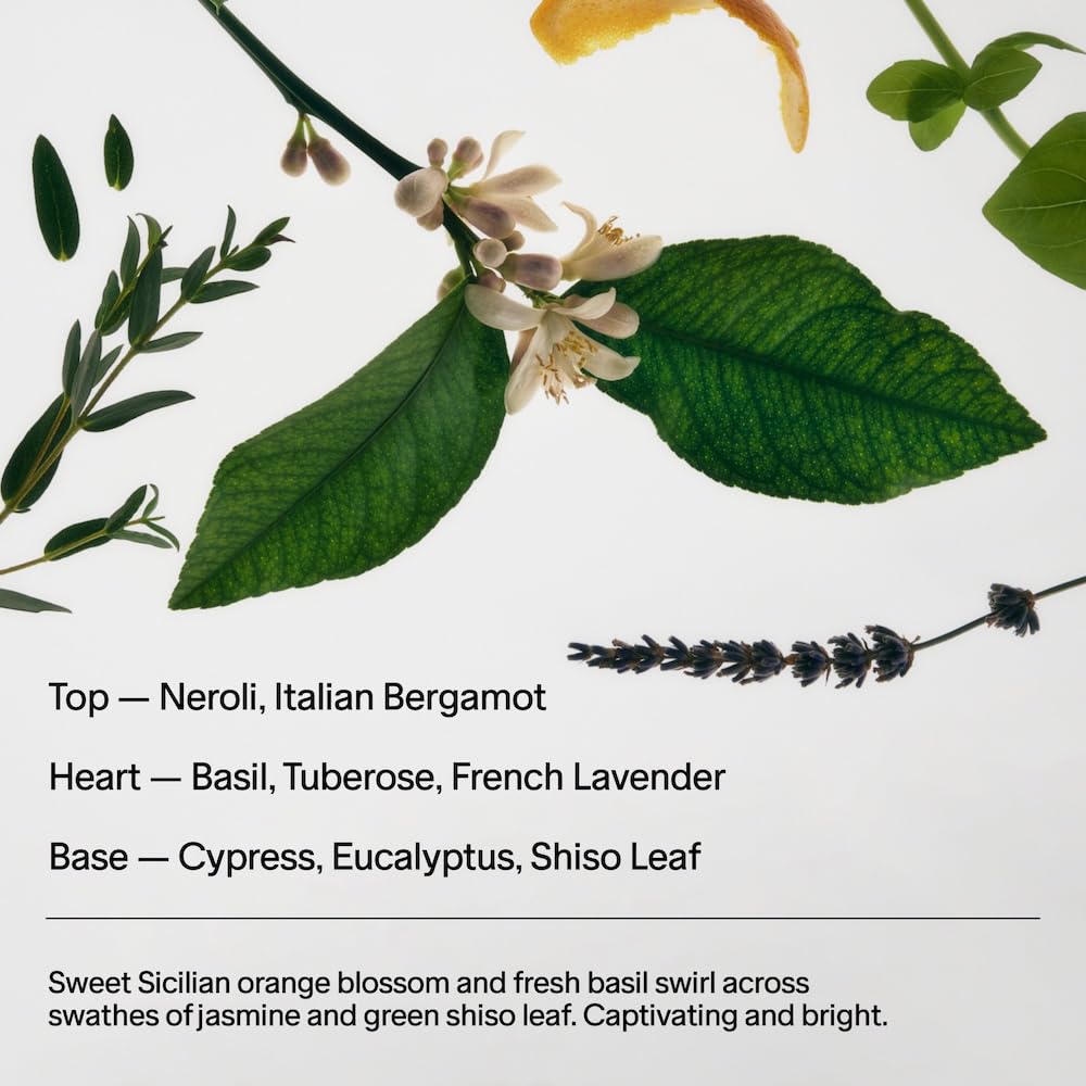 Salt & Stone Natural Deodorant 75g